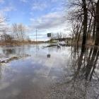 Woda zalała pola pod Wrocławiem
