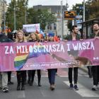 zdjęcie nr 15