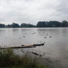zdjęcie nr 15