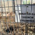 zdjęcie nr 12