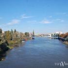 Widok na Odrę we Wrocławiu  Autor: archiwum
