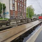 zdjęcie nr 31