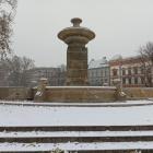 zdjęcie nr 24
