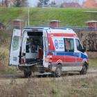 zdjęcie nr 12
