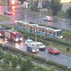   Autor: Alicja Sukiennik