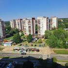 zdjęcie nr 12