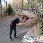 Dinopark położony jest w otulinie Karkonoskiego Parku Krajobrazowego w miejscowości...