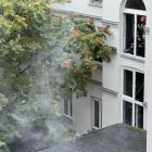 zdjęcie nr 8