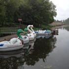 Żegluga Pasażerska Wrocław - Przystań Kardynalska, Bulwar Włostowica, Wyspa Piasek, nr...