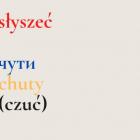 słowo polskie/zapis po ukraińsku/słowo ukraińskie/możliwa pomyłka
  
 ZOBACZ WIĘCEJ...