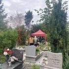 zdjęcie nr 15
