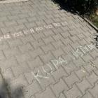 zdjęcie nr 13