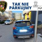 zdjęcie nr 29
