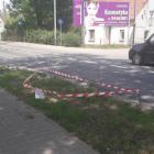  Autor: mat. Straży Miejskiej Wrocławia