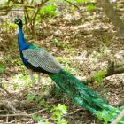 Centrum Edukacji Przyrodniczej, czyli bezpłatne zoo w Lubinie. Wstęp jest wolny, a...