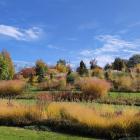   Autor: mat. Arboretum Wojsławice