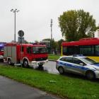 Fotka nr 5 z 8