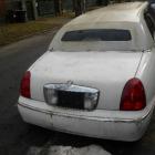 Lincoln z Zimowej  Autor: Straż Miejska Wrocławia