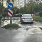 zdjęcie nr 11