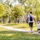 Wielki park w klinie wojszyckim. Co dalej?  Autor: zdjęcie ilustracyjne/Adobe Stock