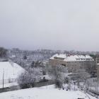 zdjęcie nr 44