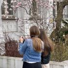 To najprawdopodobniej najbardziej instagramowa kamienica we Wrocławiu  Autor: Jakub Jurek