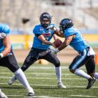   Autor: Panthers Wrocław/ materiały prasowe