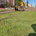 Nowe zielone torowisko we Wrocławiu  Autor: Wrocławskie Inwestycje
