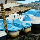  Rower wodny  
Dwuosobowy rower wodny od Zatoki Gondoli przy ul. Purkyniego kosztuje...