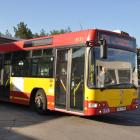 zdjęcie nr 23