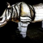   Autor: Materiały wrocławskiego zoo