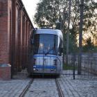 zdjęcie nr 58