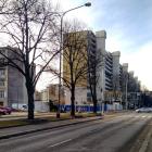 zdjęcie nr 8
