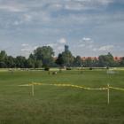 zdjęcie nr 11