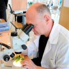 Profesor Krzysztof Matkowski  Autor: Uniwersytet Przyrodniczy we Wrocławiu