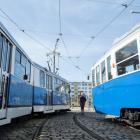 zdjęcie nr 13