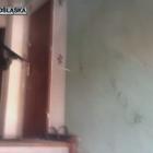   Autor: Dolnośląska Policja