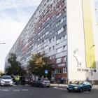 zdjęcie nr 8