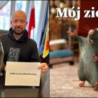zdjęcie nr 11