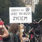 zdjęcie nr 15