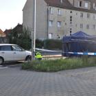zdjęcie nr 13