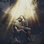 zdjęcie nr 7