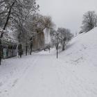 zdjęcie nr 46