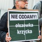 zdjęcie nr 9