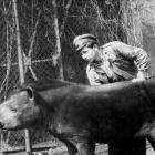 zoo 1950-1960  Autor: fotopolska.eu