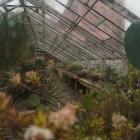   Autor: Alina Metelytsia/Ogród botaniczny UWr