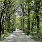 Park Pawłowicki, Wrocław  Autor: AP
