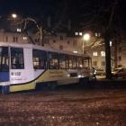 zdjęcie nr 8
