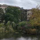 Fotka nr 5 z 7