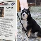 zdjęcie nr 9